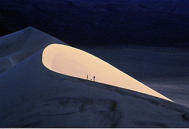 《艾尔登法环》更多细节：难度低于只狼、时长30小时、多结局